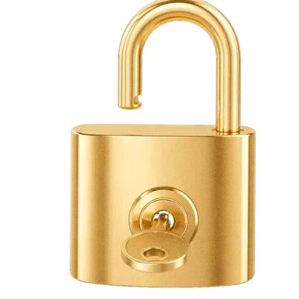 Open padlock — Karamba